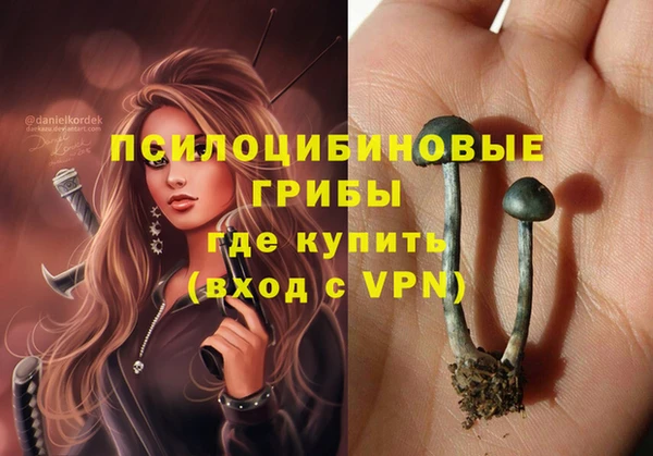 кокаин Горнозаводск